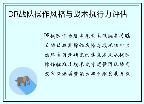 DR战队操作风格与战术执行力评估